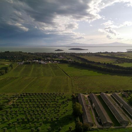Tra Lago E Collina Passignano sul Trasimeno Dış mekan fotoğraf